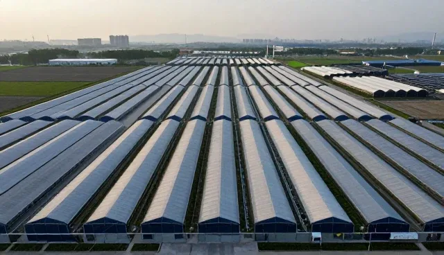 教学策略中的市场分析报告：维护策略的关键选型关注点