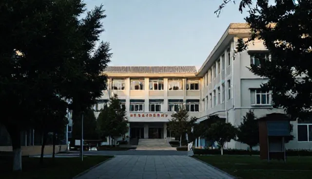 会务服务适用情况及处理方向分析